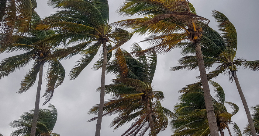 How to help homeless neighbors during hurricane season in Seminole County